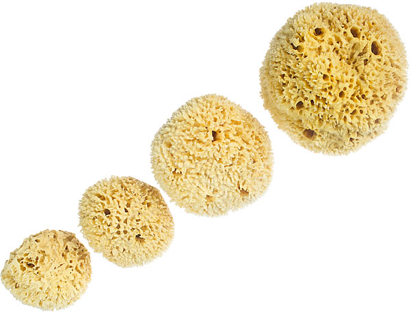 Wool Bath Sponge Small