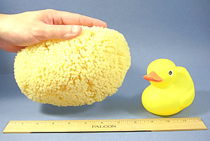 Baby Buddy Natural Yellow Sea Bath Sponge - Shop Bath Accessories