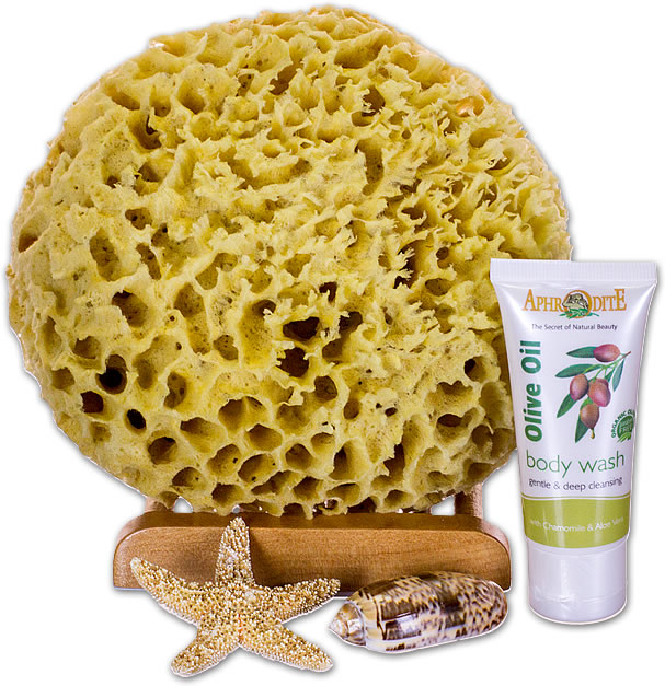 Natural Wool Sea Sponge Bath Kits