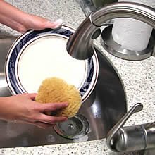 natural sponges for cleaning