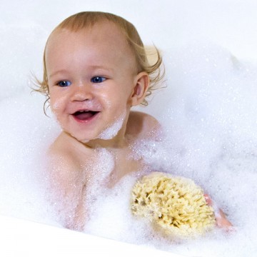 natural sea sponge for baby, natural sea sponge for baby Suppliers and  Manufacturers at