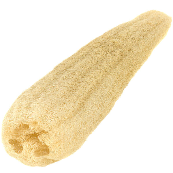 Egyptian Loofah - Image 4