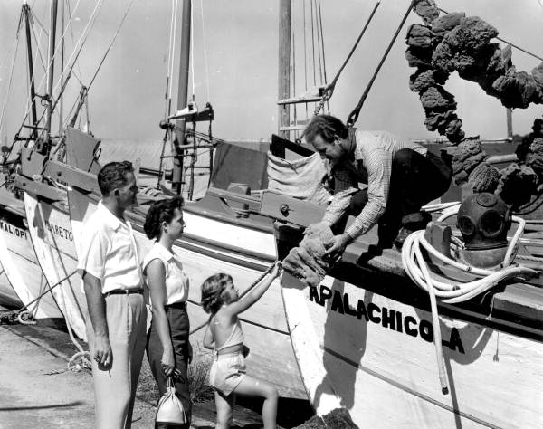 A fisherman on the boat showing sponge to a family - Tarpon Springs - 1956