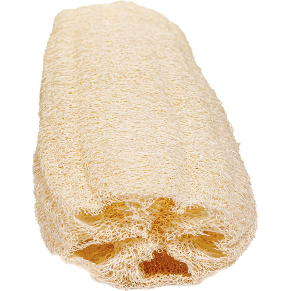 Egyptian Loofah - Image 3