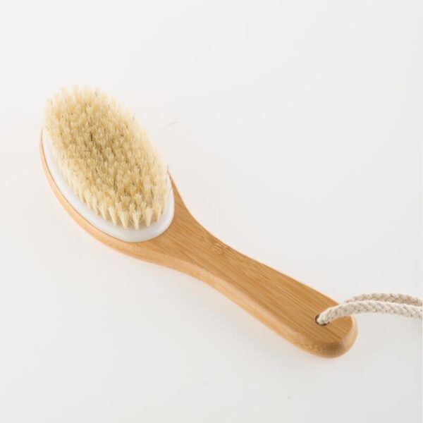 Curved Handle Dry & Wet Brush - Image 3