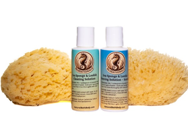 Sea Sponge Cleaning Solution – unscented - Image 2