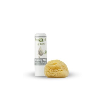 Lip Balm Donkey Milk w/sponge