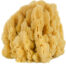 Mangrove-Key-Decor-Sea-Sponge-1200px03