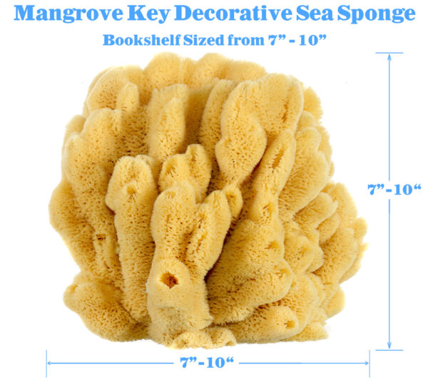 Bahamian 'Mangrove Key' Decor Sponge - Image 6