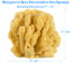 Mangrove-Key-Decor-Sea-Sponge-measurements