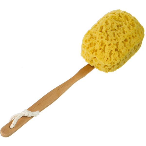 Faux Sea Sponge Back Brush