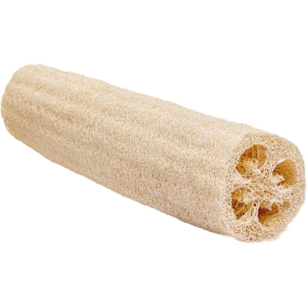 Natural Asian Loofah sideview