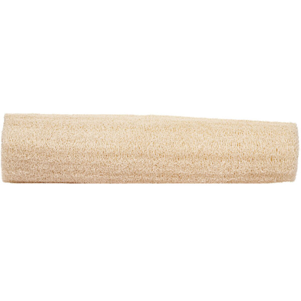 Natural Raw Loofah