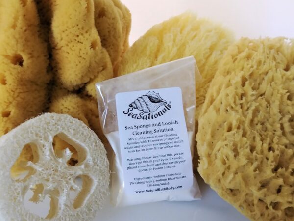 Sea Sponge Cleaning Solution – unscented - Image 3