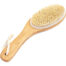 Curved Handle Dry & Wet Brush