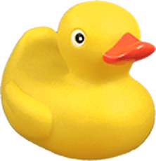 Natural Bath & Body Duck Logo