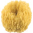 glove-sponge-1-1200