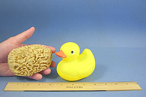 soft wool sea sponge for baby bath time