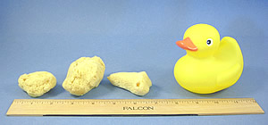 Mediterranean Silk Sponge, Small face size