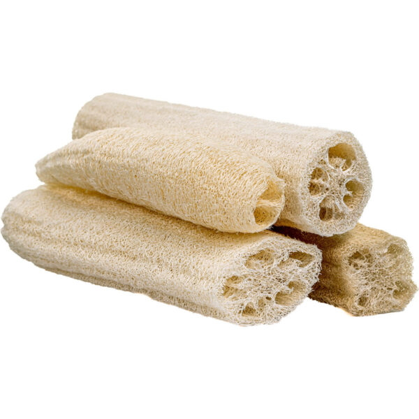 Loofah Sampler - Image 3