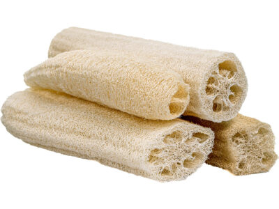 10-12 Inch Loofah Sampler - includes Asian, Egyptian and two other varieties