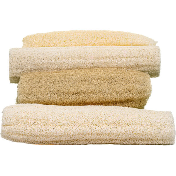 Loofah Sampler - Image 4