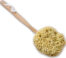 natural wool sea sponge bath brush back view