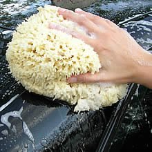 Sponges for Household, Auto, & Arts