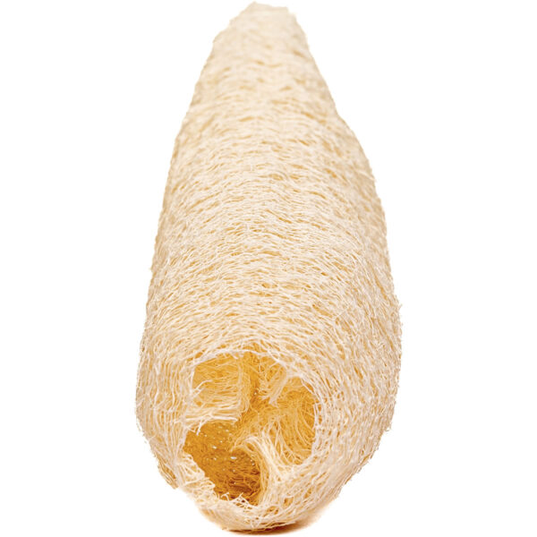 Peruvian Loofah imported from Peru - Image 4