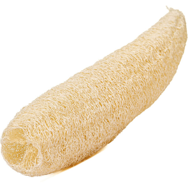 Peruvian Loofah