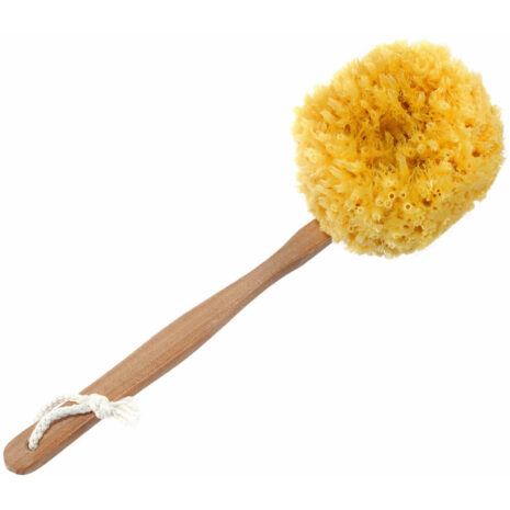 Caribbean Grass Sea Sponge Back and Bath Brush