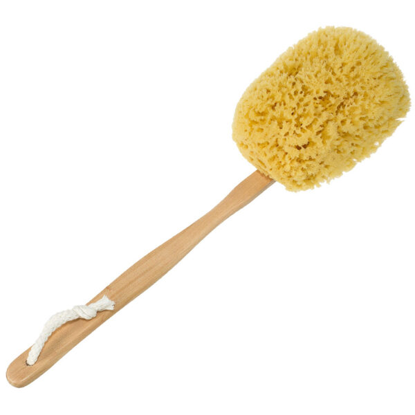 Yellow Sea Sponge Back Scrubber - Image 4