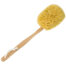 sea-sponge-back-brush-natural-yellow-2-small