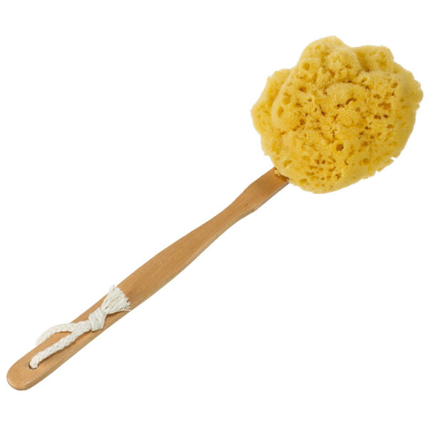 Yellow Sea Sponge Bath Brush alternate