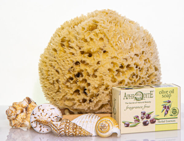 SeaSationals® Premium Wool Sea Sponge Bath Kits - Image 2