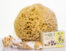 wool-sea-sponge-bath-kit