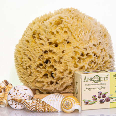 wool sea sponge bath kit