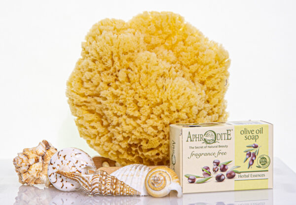 SeaSationals® Natural Yellow Sea Sponge Bath Kits - Image 2