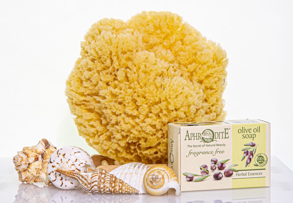 yellow-sea-sponge-bath-kit-