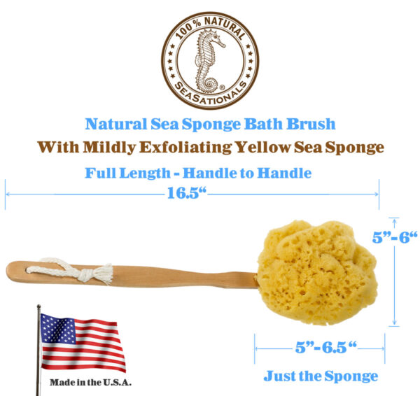 Yellow Sea Sponge Back Scrubber - Image 5