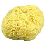 Yellow Sea Sponges for crafts and cleaning